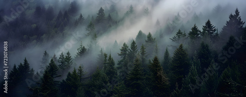 A misty mountain landscape with a forest of pine trees in a vintage retro style. The environment is portrayed with clouds and mist, creating a vintage and atmospheric imagery of a tree covered forest. © jex