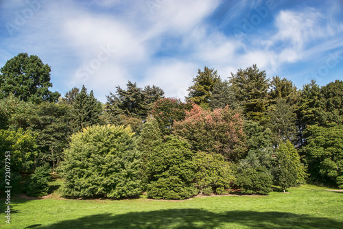 Arnold Arboretum 3