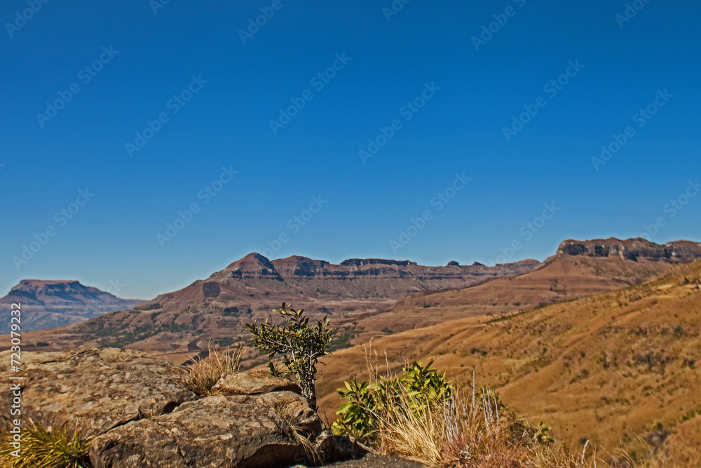 Drakensberg Mountain scene 15506