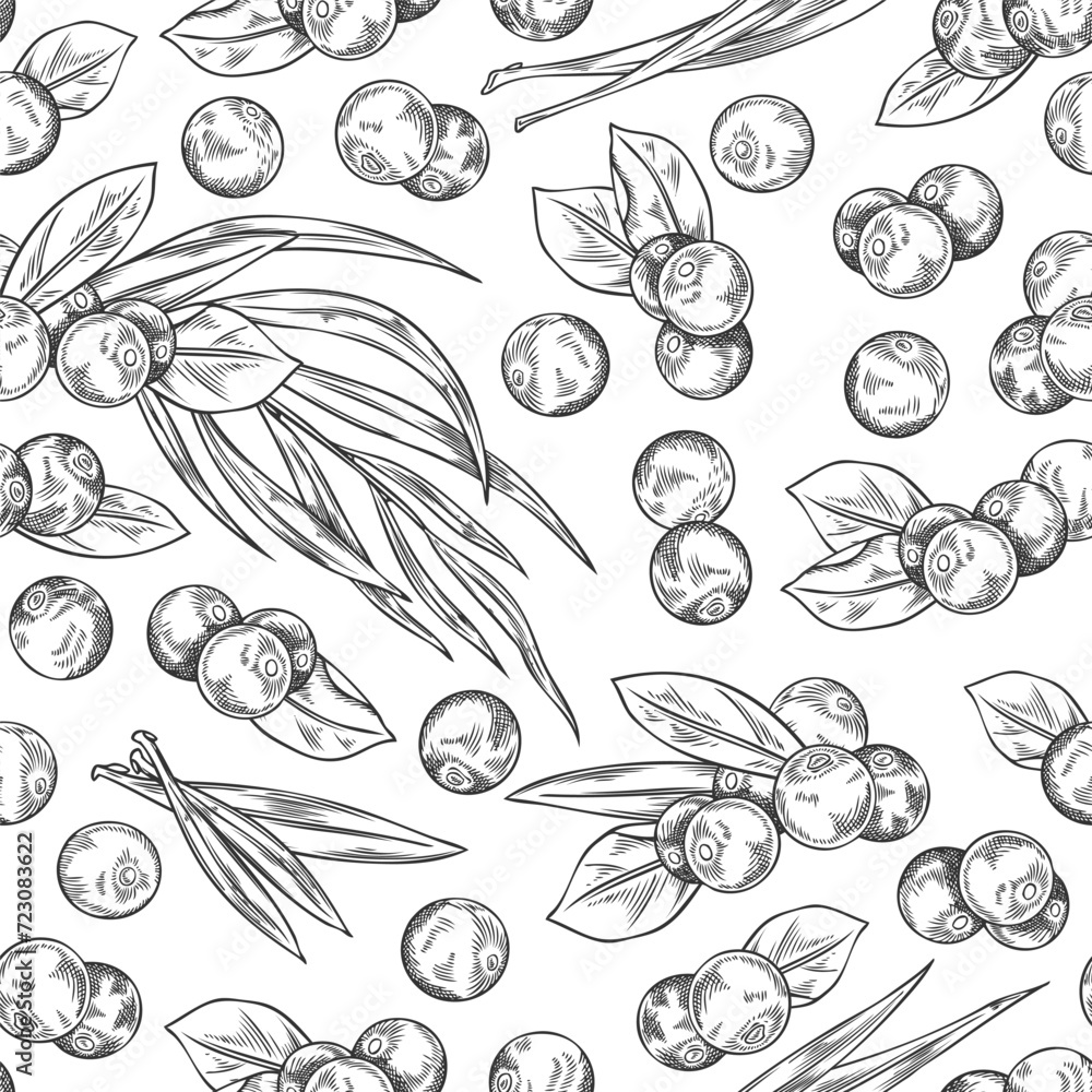 Seamless pattern with Acai berries and leaves, fresh juicy black berries with foliage, vector hand drawn natural fruit