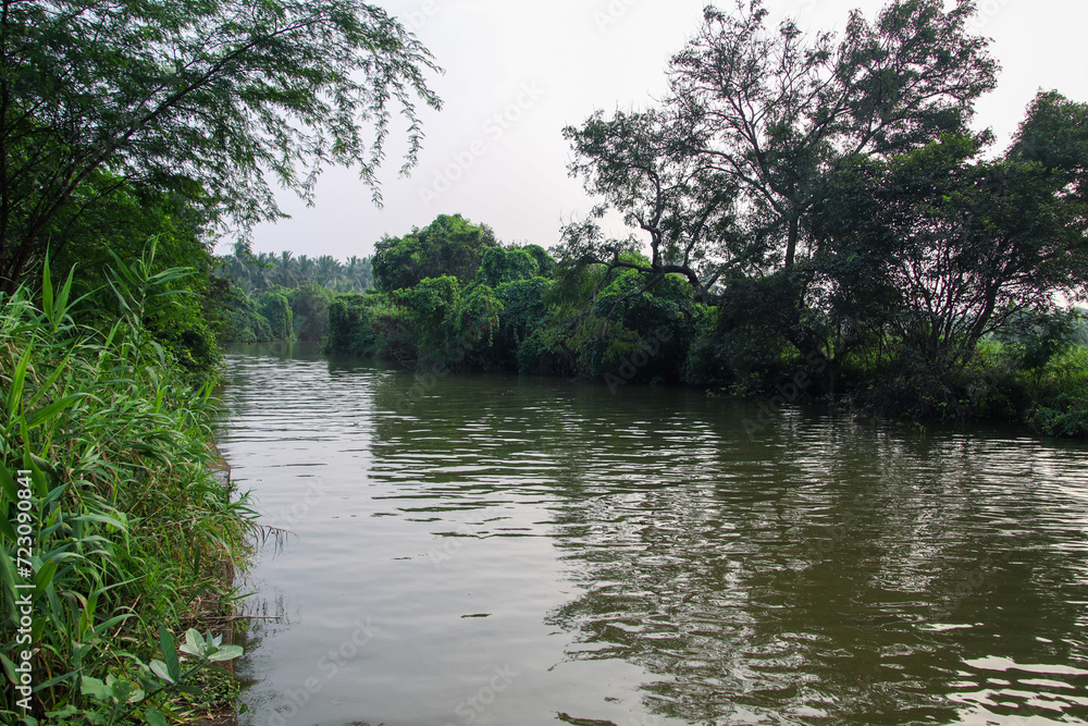 View of a river flowing and lush greenery in tamil nadu rural area View of a river flowing and lush greenery in tamil nadu rural area