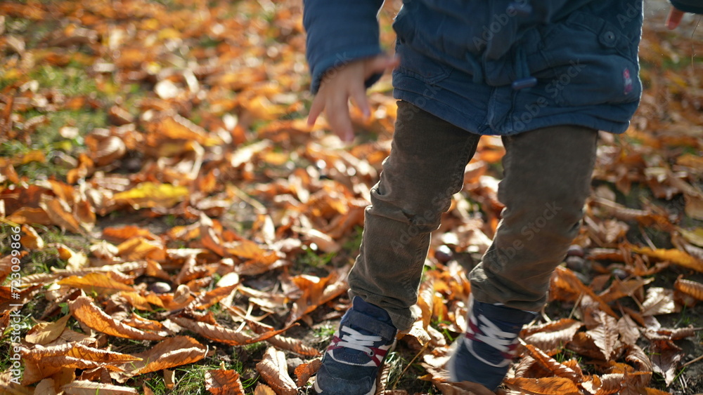 Child with Orange Leaves on Head in Sunlit Park - Autumn Playtime of kid wearing blue jacket amidst orange nature playing outdoors Child with Orange Leaves on Head in Sunlit Park - Autumn Playtime of kid wearing blue jacket amidst orange nature playing outdoors