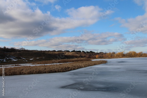 A snowy field with trees and blue sky