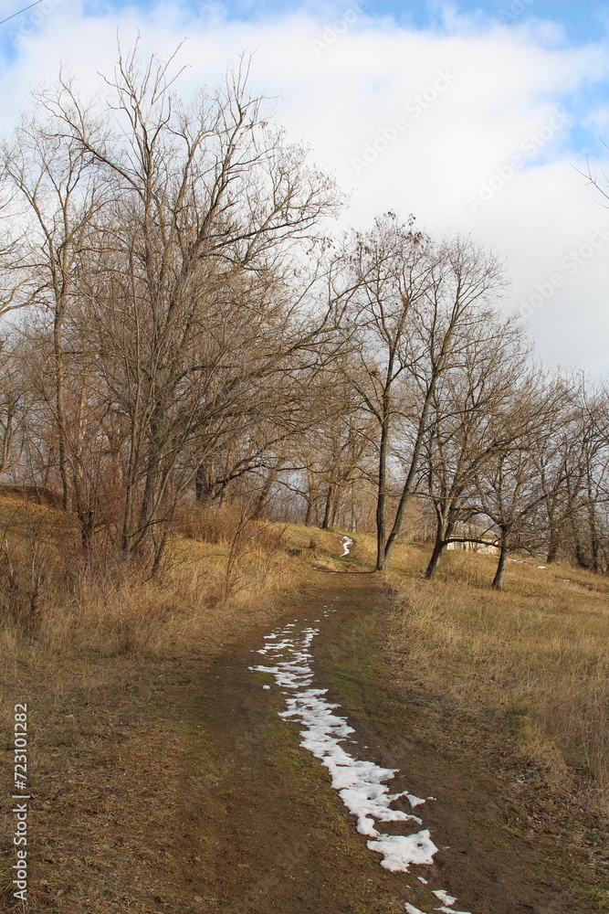 A dirt road with trees on either side of it A dirt road with trees on either side of it