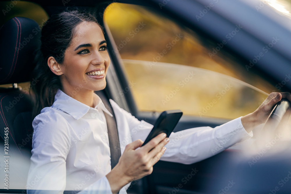 Portrait of an elegant woman driving her car and using phone. Portrait of an elegant woman driving her car and using phone.