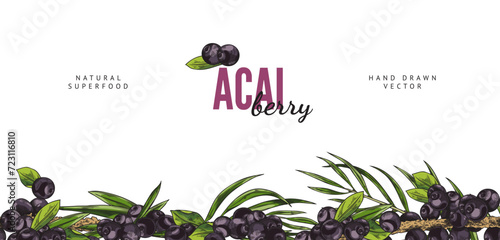 Acai berry superfood seamless border, sketch vector illustration isolated.