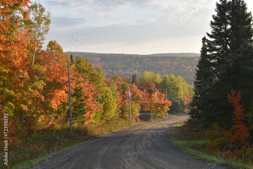 The road to the lake in autumn, Sainte-Apolline, Québec, Canada