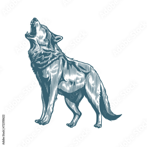 howling wolf with old engraving style