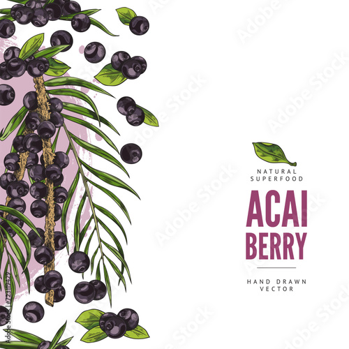 Design template with acai berry, vector illustration in color sketch style