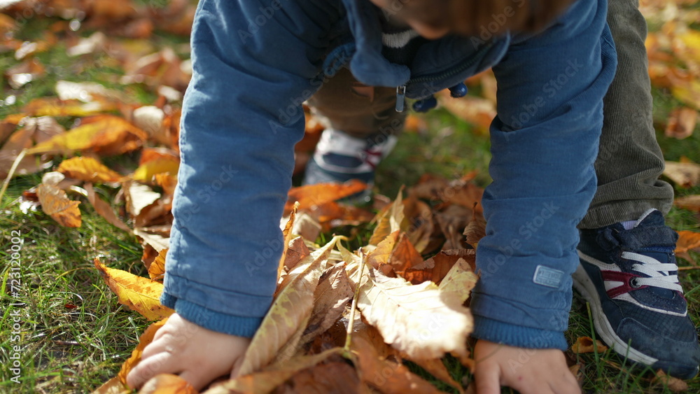 Small Boy in Jacket Collecting Dry Autumn Leaves and throwing in the air, carefree happy kid enjoys fall season Small Boy in Jacket Collecting Dry Autumn Leaves and throwing in the air, carefree happy kid enjoys fall season