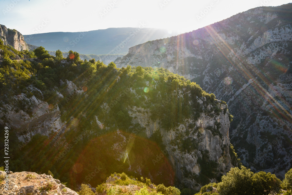 Obraz premium Beautiful landscape in the Verdon Canyon in France. Rocks and trees in the Verdon canyon.
