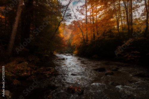 Fall scenes along Bear Creek