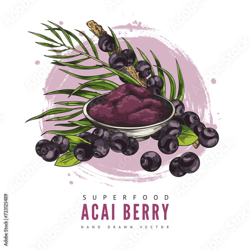 Design vector template with acai berry, illustration in color sketch style.