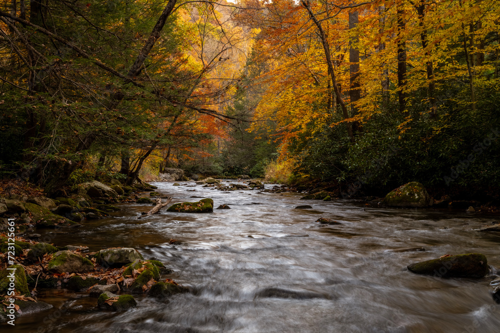 Fall scenes along Bear Creek Fall scenes along Bear Creek