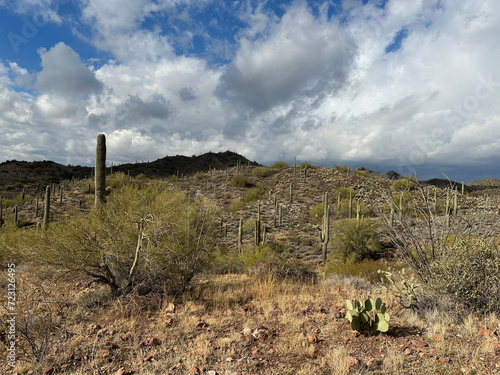Views from the American Southwest - exploring the landscape 1.5 hours outside of Phoenix, Arizona towards Wickenburg