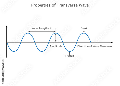 Properties of transverse wave, this waves oscillate perpendicular to wave direction photo