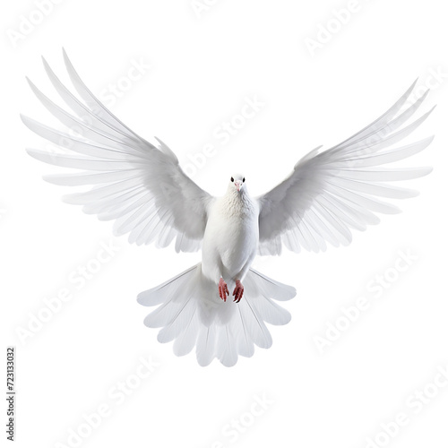 Flying white dove clip art © Ovidiu