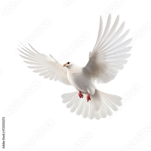 Flying white dove clip art