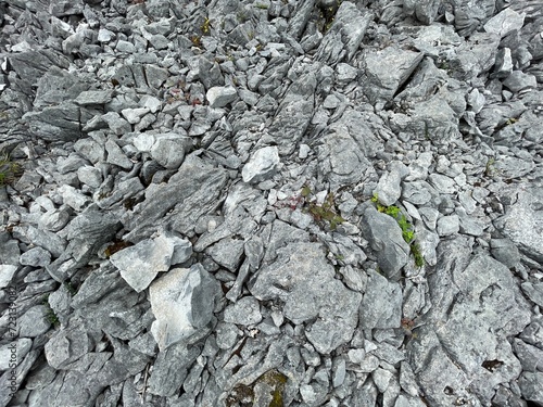 Karst rock in the beautiful Burren National Park in County Clare - Ireland photo