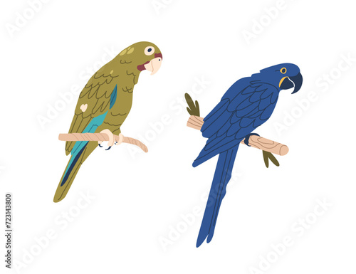Blue And Green Macaws Parrots. Vibrant, Tropical Birds Known For Brilliant Plumage And Strong Beaks, Vector Illustration