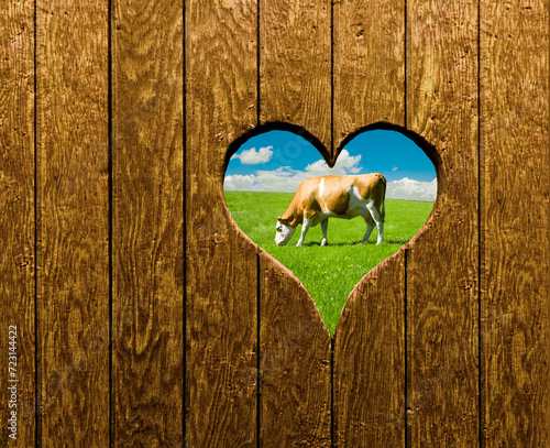 Milchkuh auf einer Grünen Kuhweide