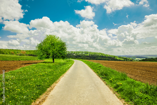 Landstrasse durch eine Grüne Landschaft mit Wiesen und Wäldern