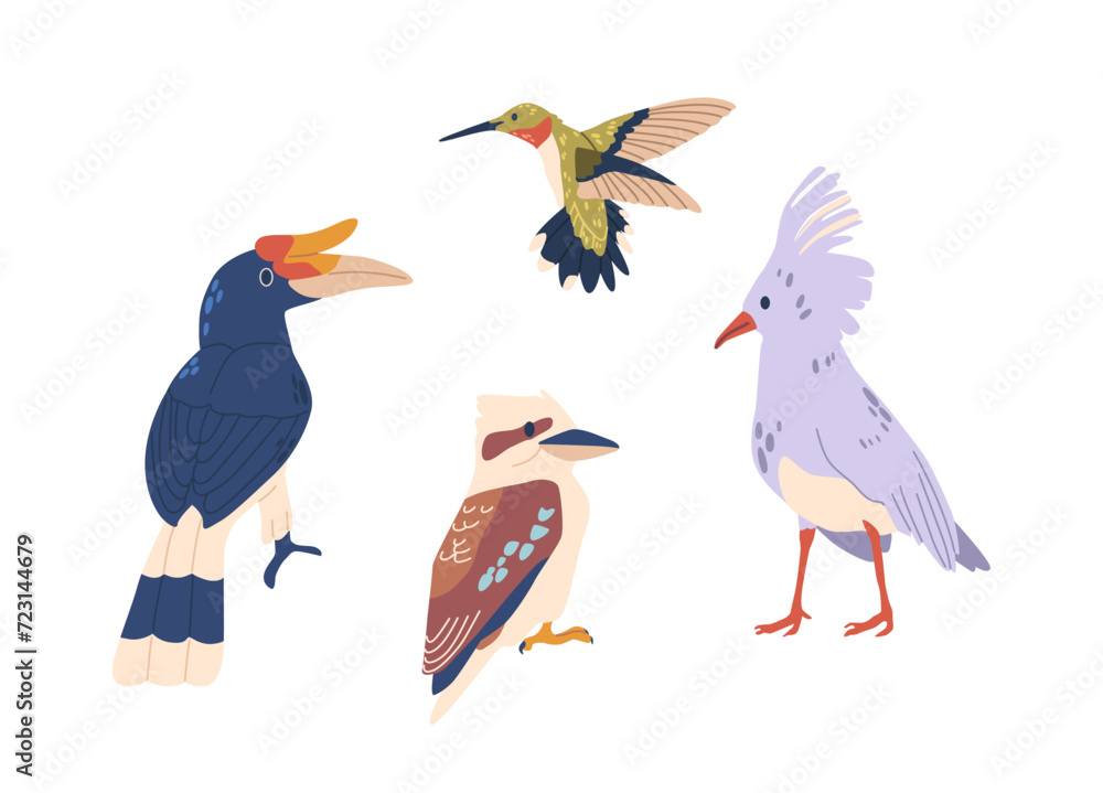 Tropical Birds Boast Vibrant Plumage. Rainforests Birds, Hummingbird And Kagu, Rhinoceros Hornbill Isolated Vector Set Tropical Birds Boast Vibrant Plumage. Rainforests Birds, Hummingbird And Kagu, Rhinoceros Hornbill Isolated Vector Set