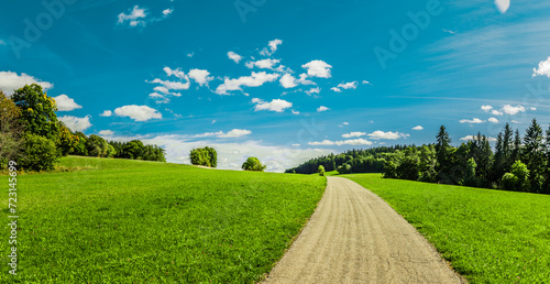 Landstrasse durch eine Grüne Landschaft mit Wiesen und Wäldern