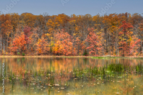 Fall color in pond at Coopers Rock