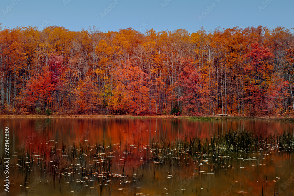 Fall color in pond at Coopers Rock Fall color in pond at Coopers Rock