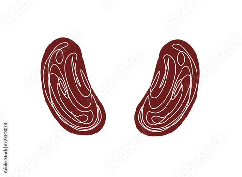 one continuous line drawing of red beans or Phaseolus vulgaris