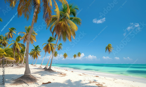 Beautiful tranquil empty bright white paradise sand beach   palm trees  and  turquoise water in Zanzibar