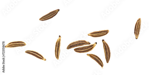 Set cumin isolated on white, top view 