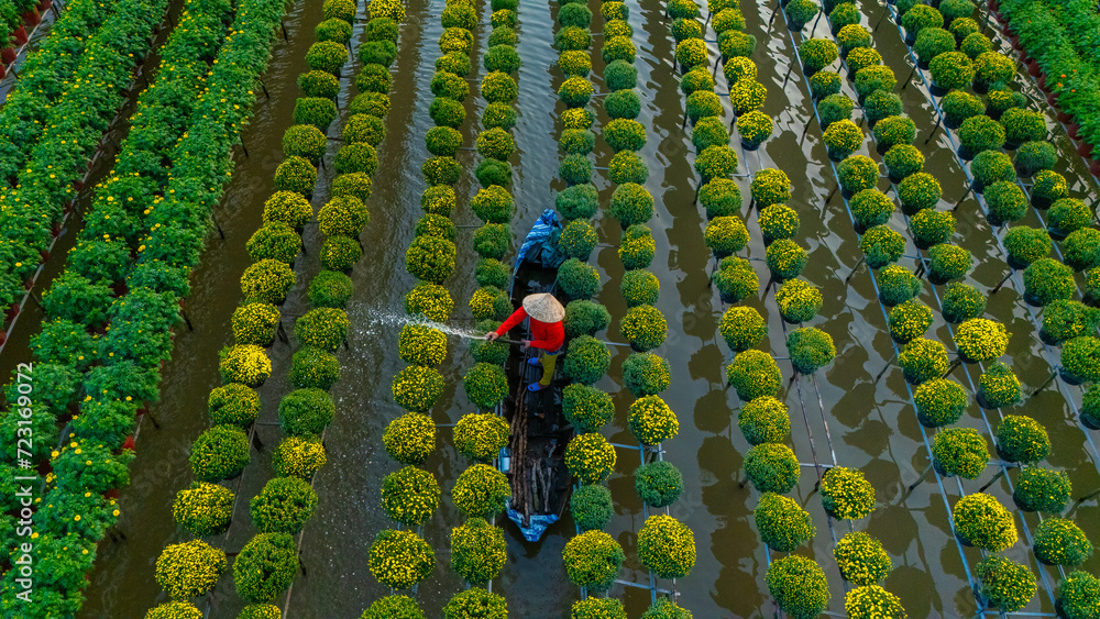 Obraz premium Aerial view of Sa Dec flower garden in Dong Thap province, Vietnam. It's famous in Mekong Delta, preparing transport flowers to the market for sale in Tet holiday.