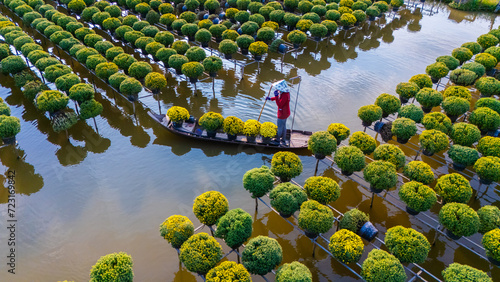 Wallpaper Mural Aerial view of Sa Dec flower garden in Dong Thap province, Vietnam. It's famous in Mekong Delta, preparing transport flowers to the market for sale in Tet holiday. Torontodigital.ca