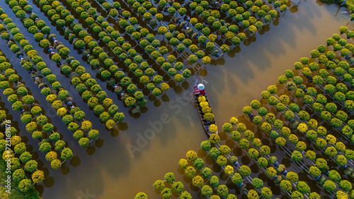 Aerial view of Sa Dec flower garden in Dong Thap province, Vietnam. It's famous in Mekong Delta, preparing transport flowers to the market for sale in Tet holiday.