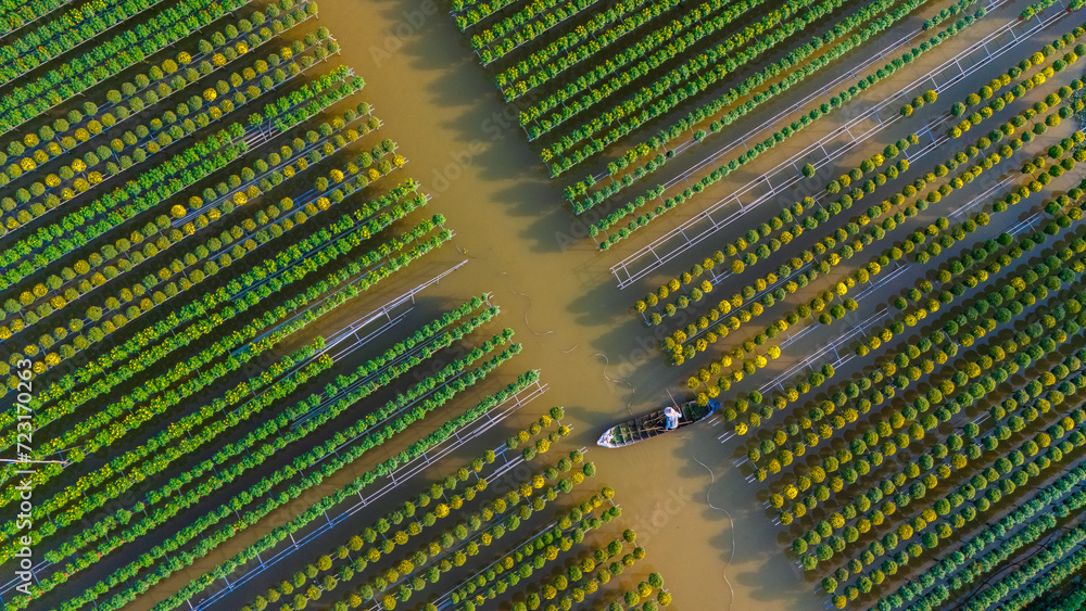 Aerial view of Sa Dec flower garden in Dong Thap province, Vietnam. It's famous in Mekong Delta, preparing transport flowers to the market for sale in Tet holiday. Aerial view of Sa Dec flower garden in Dong Thap province, Vietnam. It's famous in Mekong Delta, preparing transport flowers to the market for sale in Tet holiday.