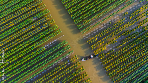 Aerial view of Sa Dec flower garden in Dong Thap province, Vietnam. It's famous in Mekong Delta, preparing transport flowers to the market for sale in Tet holiday.