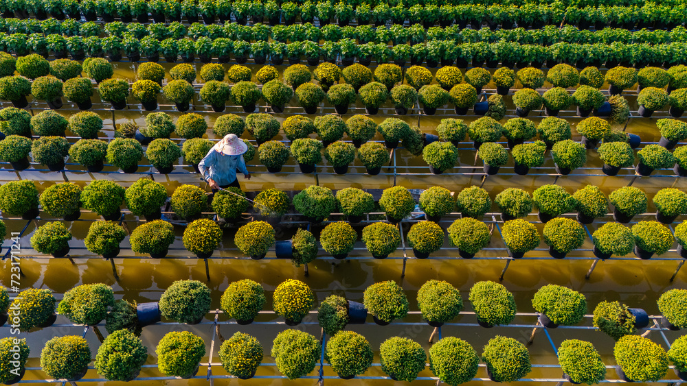 Aerial view of Sa Dec flower garden in Dong Thap province, Vietnam. It's famous in Mekong Delta, preparing transport flowers to the market for sale in Tet holiday.