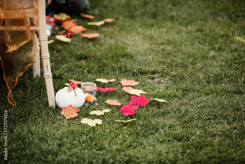 Pumpkin and scattered leaves