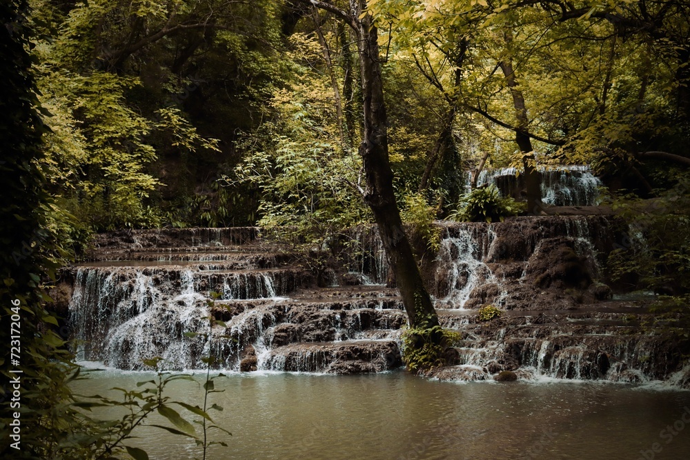 Obraz premium Waterfall in the forest