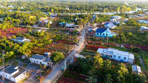 Aerial view of Cho Lach flower garden in Ben Tre, Vietnam. It's famous in Mekong Delta, preparing transport flowers to the market for sale in Tet holiday