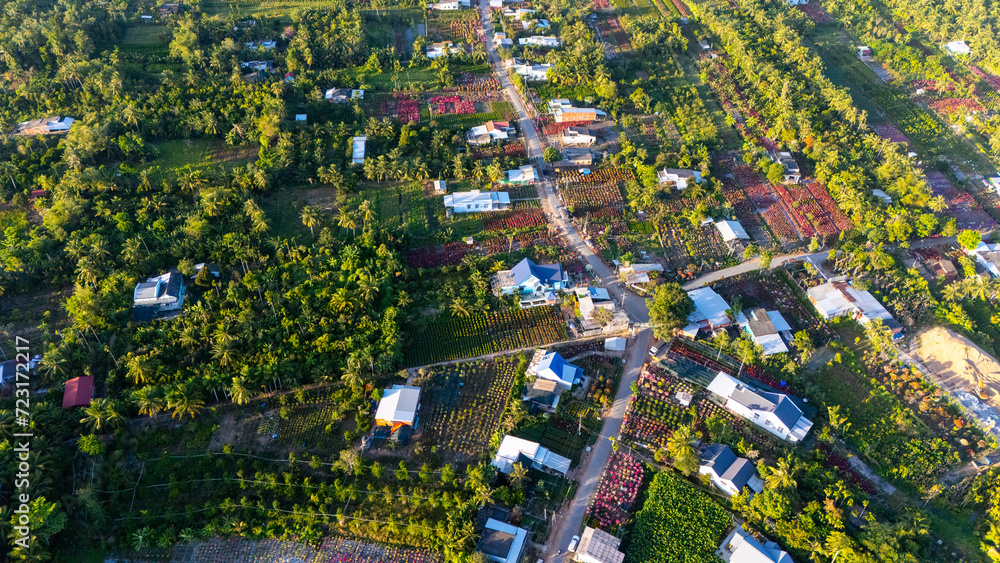 Aerial view of Cho Lach flower garden in Ben Tre, Vietnam. It's famous in Mekong Delta, preparing transport flowers to the market for sale in Tet holiday