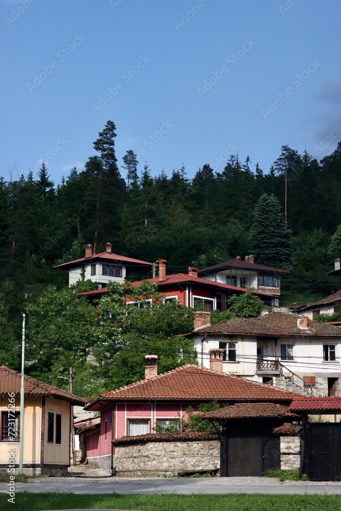 Houses in the mountains