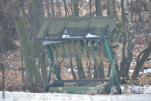 Animal feeder rack with hay for wildlife animal in winter