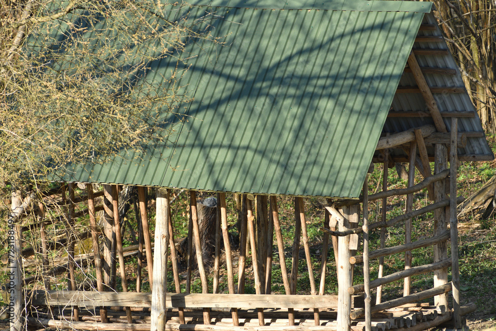 Animal feeder rack with hay for wildlife animal in winter