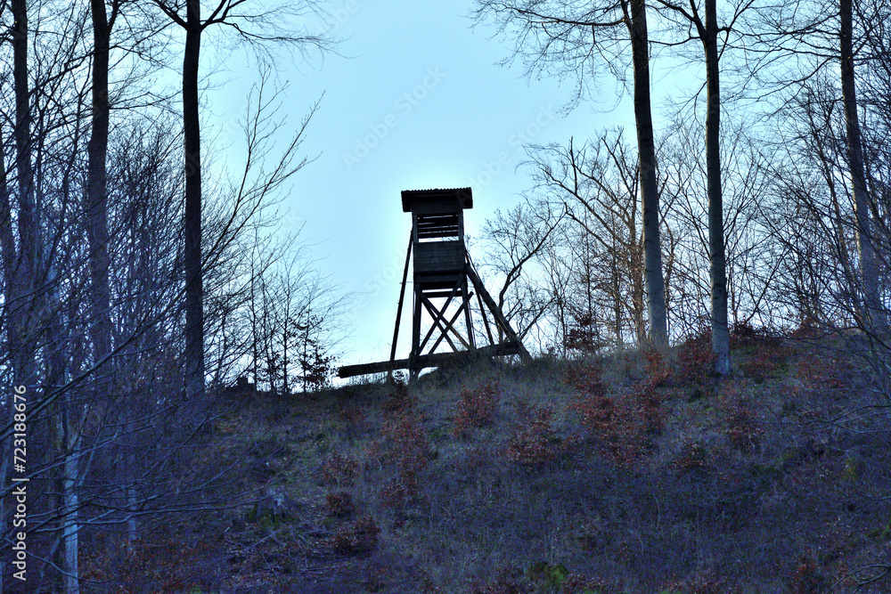 Hunting hidden cottage from wooden in meadow near forest in winter