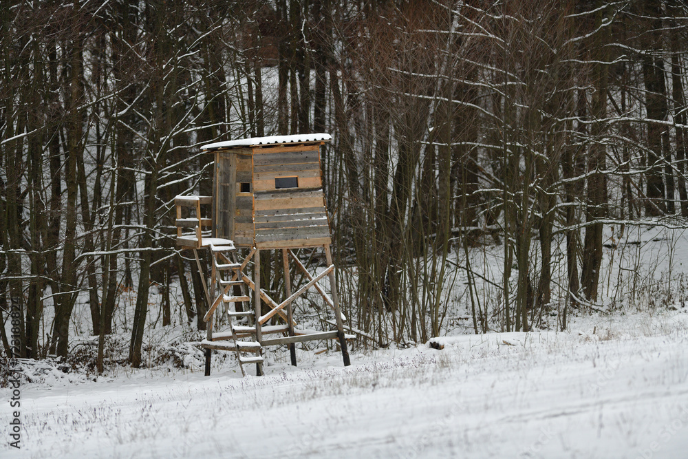 Hunting hidden cottage from wooden in meadow near forest in winter
