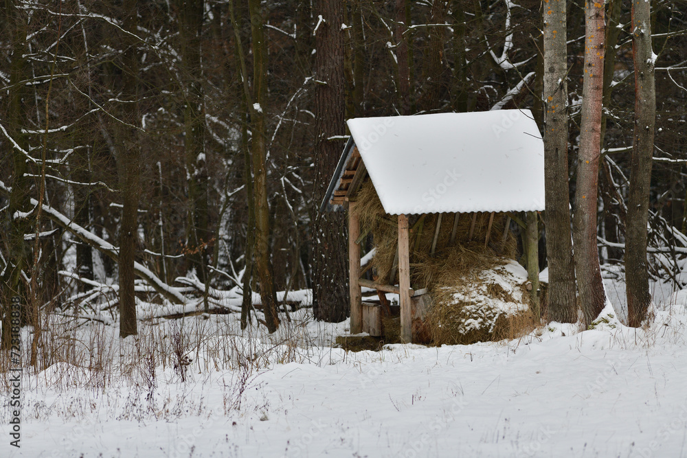 Animal feeder rack with hay for wildlife animal in winter