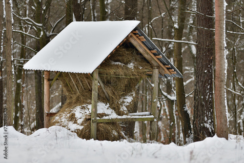 Obraz na płótnie Animal feeder rack with hay for wildlife animal in winter w salonie